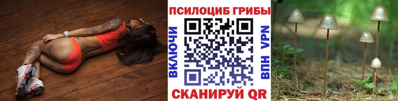 Псилоцибиновые грибы GOLDEN TEACHER  где найти наркотики  Джанкой 