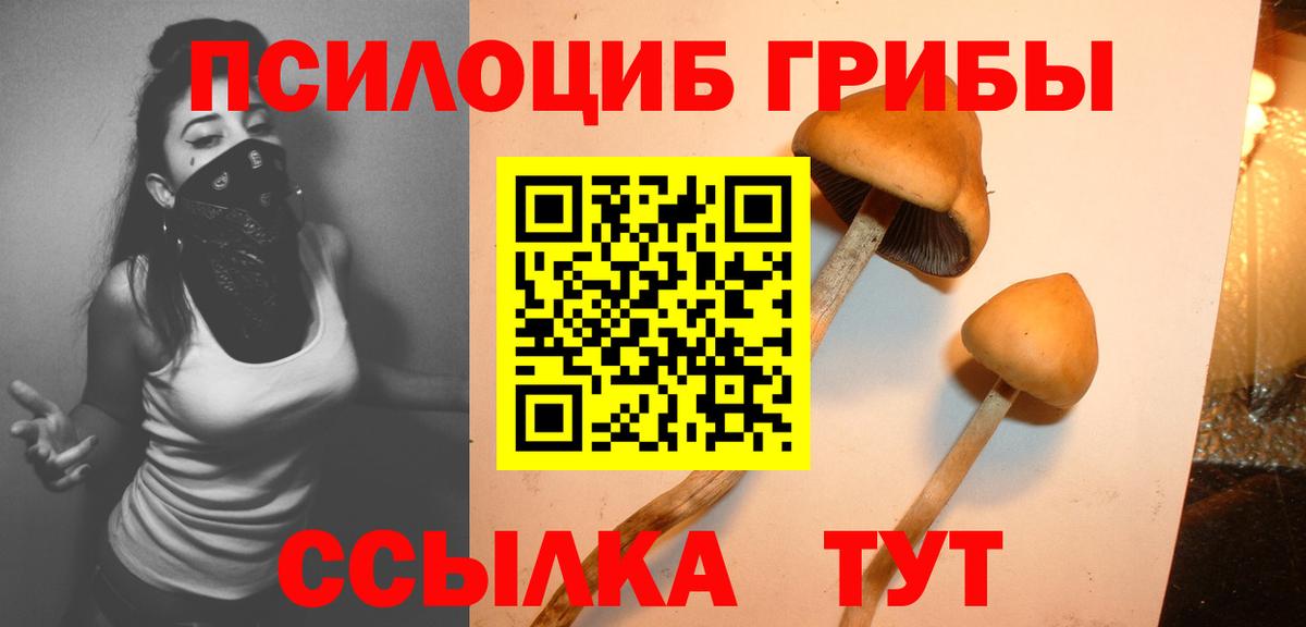Джанкой  Галлюциногенные грибы Psilocybine cubensis  Вход с VPN  Галлюциногенные грибы мицелий 